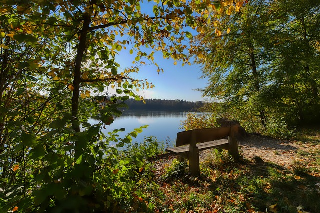 莫拉塔本赛 莫拉塔本赛