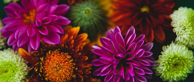 战术和睿智 战术和睿智