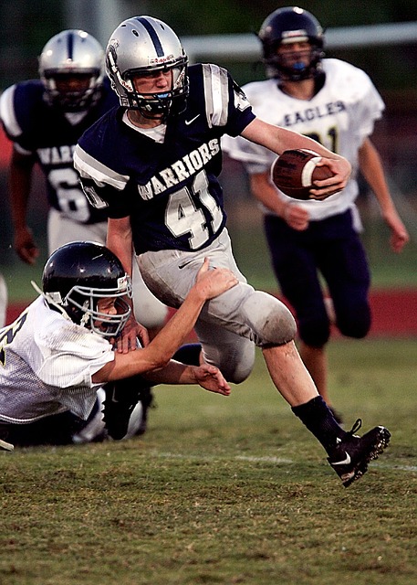 了观众的观 了观众的观