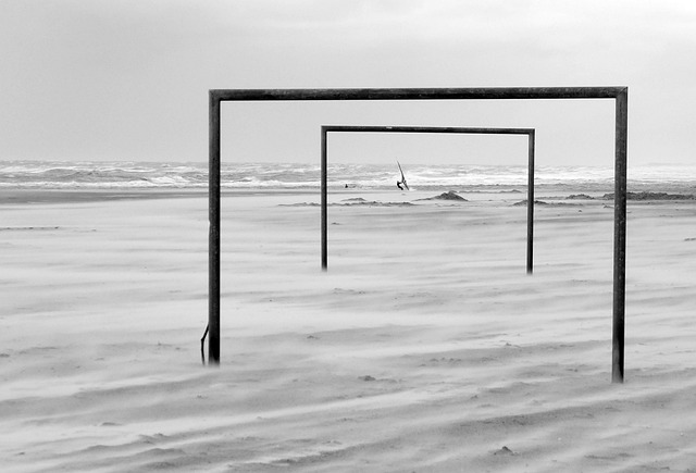 本身就具有 本身就具有