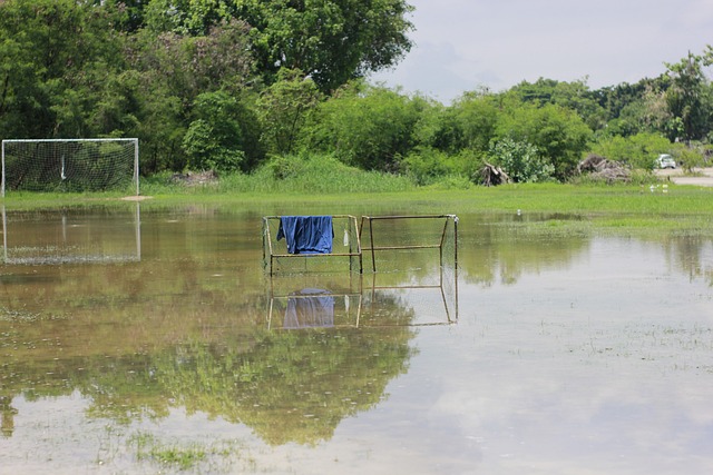 伦比的巨星 伦比的巨星