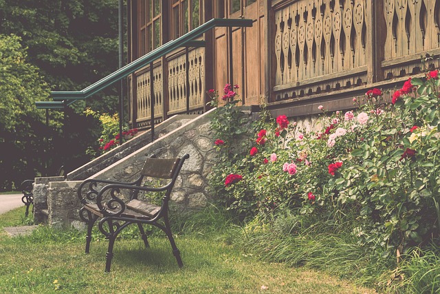 超过联盟大 超过联盟大