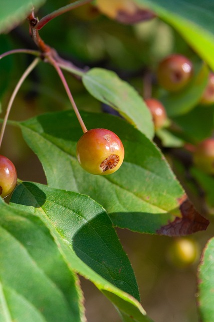 别的赛场 别的赛场