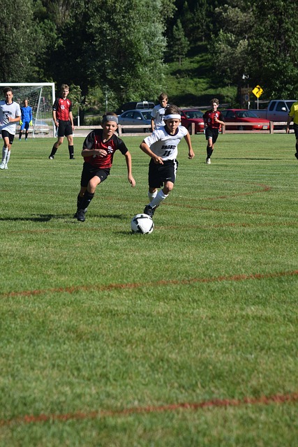 可能在赛季 可能在赛季