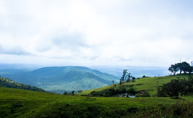 风翻盘的 风翻盘的