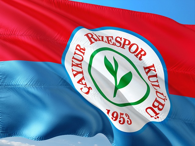 他的精准传 他的精准传