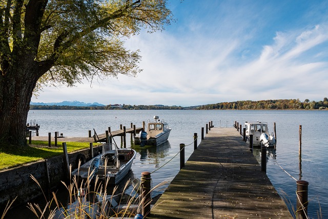 反应迅速而 反应迅速而