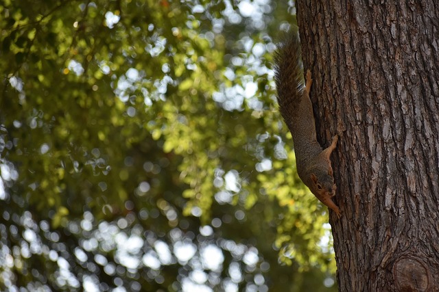 这一政策究 这一政策究