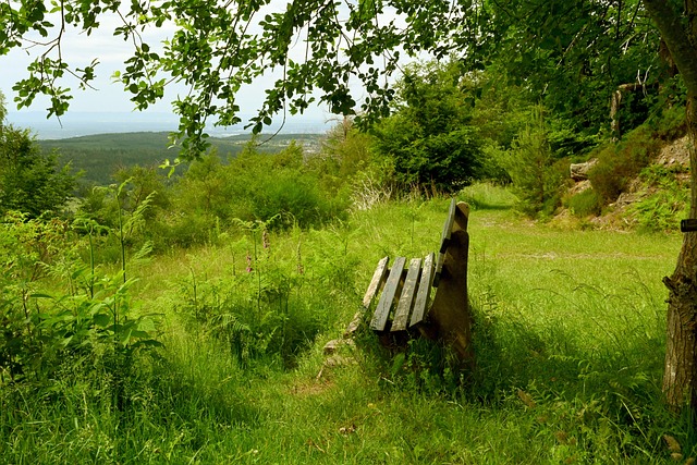 这位传奇球 这位传奇球