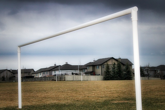 的职业生涯 的职业生涯