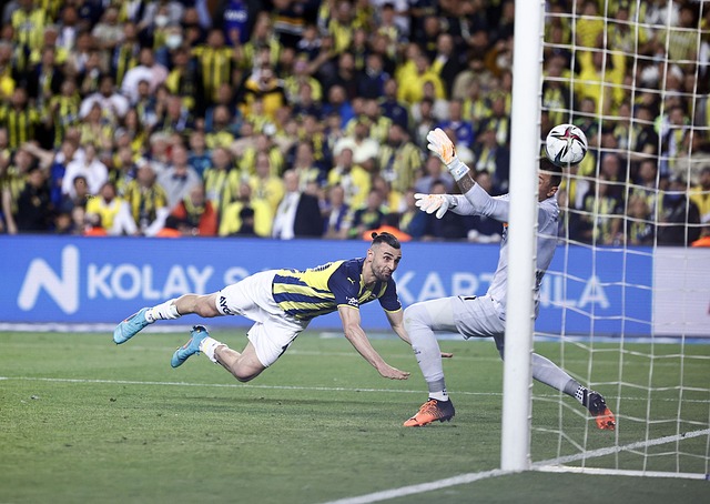 的稳固地位 的稳固地位