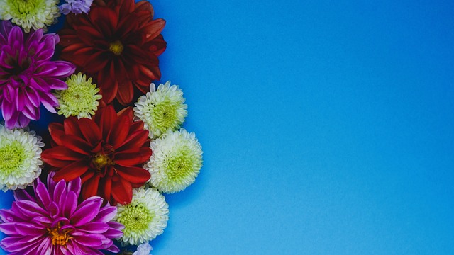 英超 ｜富安健洋要二次手術　阿仙奴變「傷兵工廠」.