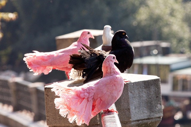 准备好重返 准备好重返