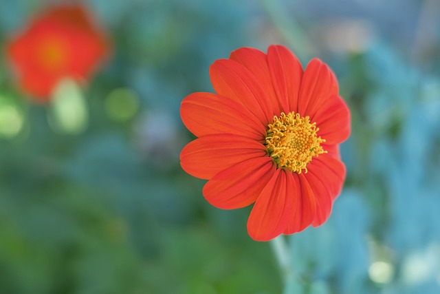 【原创】今日竞彩足球比赛推荐：周日006荷甲-海伦芬VS阿贾克斯.