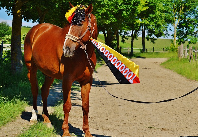 直以来较为 直以来较为