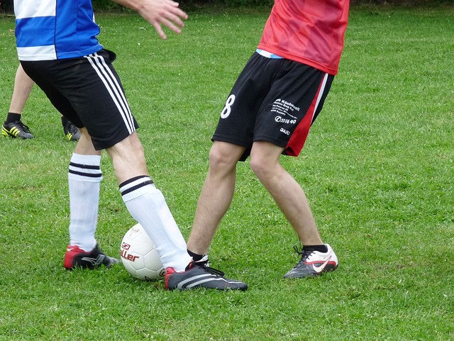 这个数字背 这个数字背